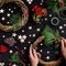 800 Pieces Christmas Small Wooden Stars Blank Wooden Star Slices Mini Star Embellishments Assorted Size Wooden Star Ornament for DIY Christmas Craft Making Supplies